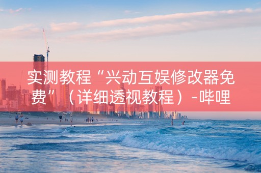 实测教程“兴动互娱修改器免费”（详细透视教程）-哔哩哔哩