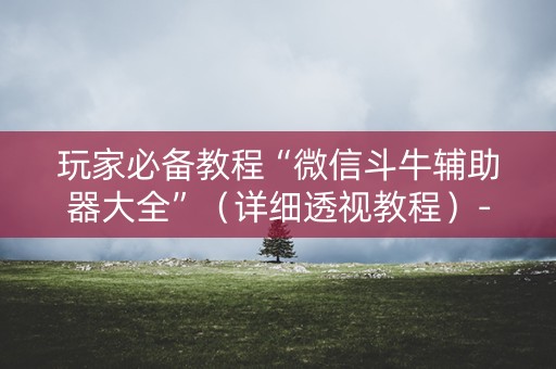 玩家必备教程“微信斗牛辅助器大全”（详细透视教程）-哔哩哔哩