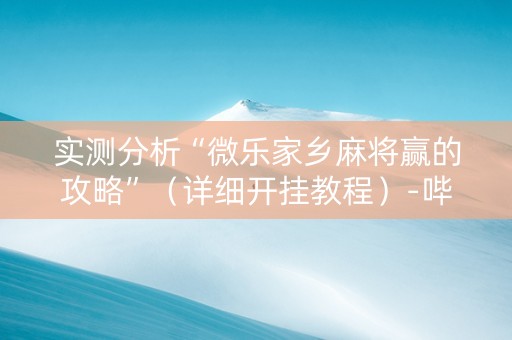 实测分析“微乐家乡麻将赢的攻略”（详细开挂教程）-哔哩哔哩