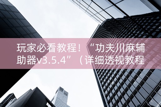玩家必看教程！“功夫川麻辅助器v3.5.4”（详细透视教程）-哔哩哔哩