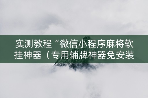 实测教程“微信小程序麻将软挂神器（专用辅牌神器免安装）