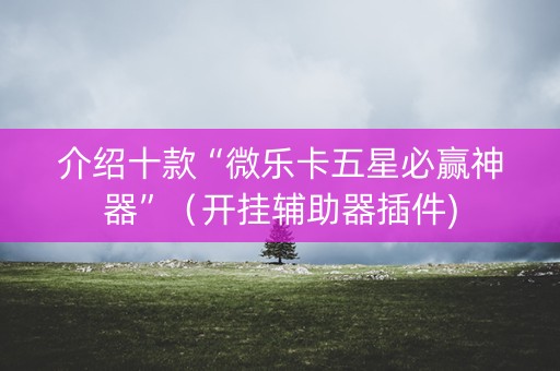 介绍十款“微乐卡五星必赢神器”（开挂辅助器插件)