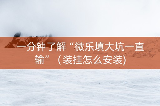 一分钟了解“微乐填大坑一直输”（装挂怎么安装)