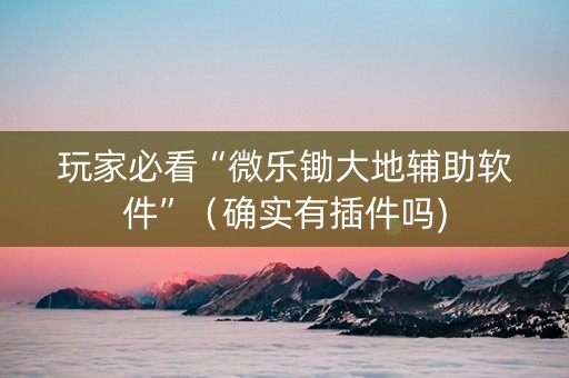 玩家必看“微乐锄大地辅助软件”（确实有插件吗)