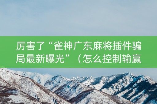 厉害了“雀神广东麻将插件骗局最新曝光”（怎么控制输赢)