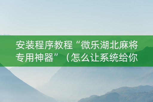 安装程序教程“微乐湖北麻将专用神器”（怎么让系统给你发好牌)