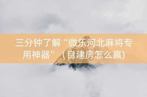 三分钟了解“微乐河北麻将专用神器”（自建房怎么赢)