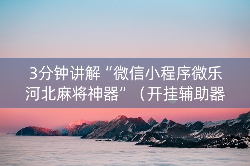 3分钟讲解“微信小程序微乐河北麻将神器”（开挂辅助器插件)