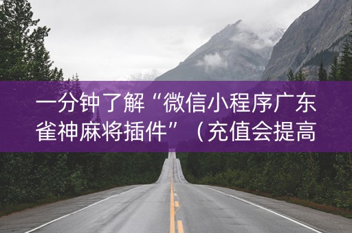 一分钟了解“微信小程序广东雀神麻将插件”（充值会提高胜率么)