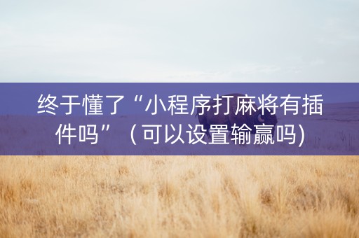 终于懂了“小程序打麻将有插件吗”（可以设置输赢吗)