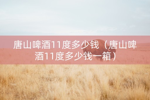 唐山啤酒11度多少钱（唐山啤酒11度多少钱一箱）