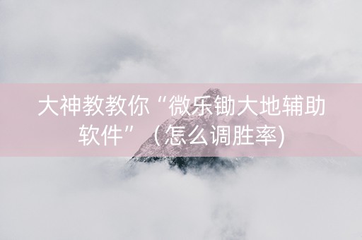 大神教教你“微乐锄大地辅助软件”（怎么调胜率)