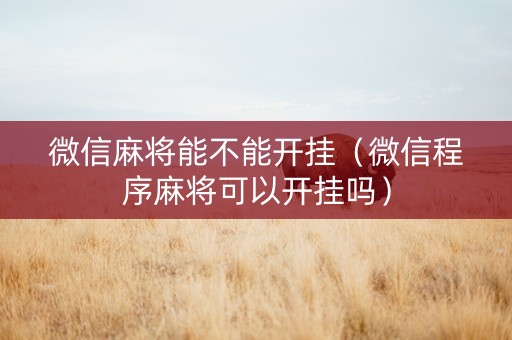 微信麻将能不能开挂（微信程序麻将可以开挂吗）