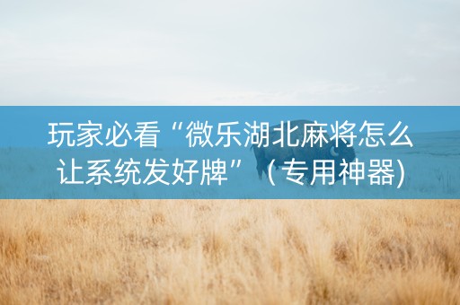 玩家必看“微乐湖北麻将怎么让系统发好牌”（专用神器)