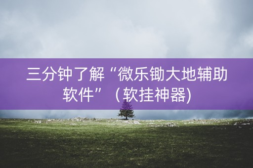 三分钟了解“微乐锄大地辅助软件”（软挂神器)