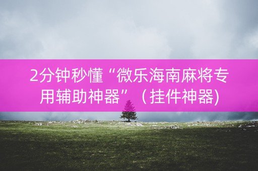 2分钟秒懂“微乐海南麻将专用辅助神器”（挂件神器)