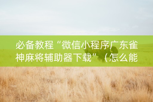 必备教程“微信小程序广东雀神麻将辅助器下载”（怎么能让牌好一点)