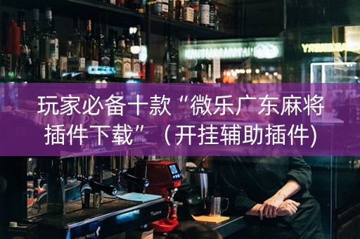玩家必备十款“微乐广东麻将插件下载”（开挂辅助插件)