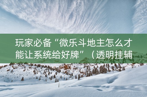 玩家必备“微乐斗地主怎么才能让系统给好牌”（透明挂辅助器)