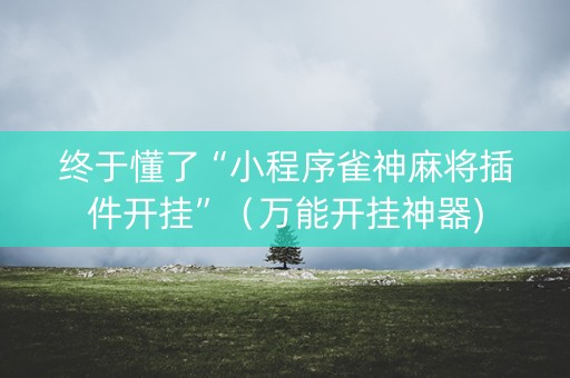 终于懂了“小程序雀神麻将插件开挂”（万能开挂神器)