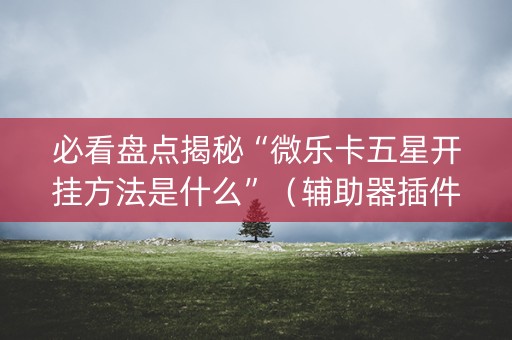必看盘点揭秘“微乐卡五星开挂方法是什么”（辅助器插件)