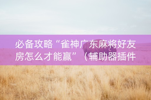 必备攻略“雀神广东麻将好友房怎么才能赢”（辅助器插件)