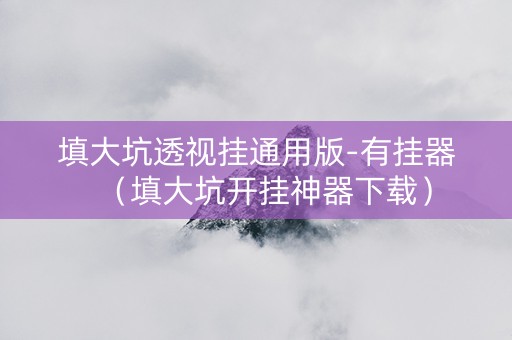 填大坑透视挂通用版-有挂器（填大坑开挂神器下载）
