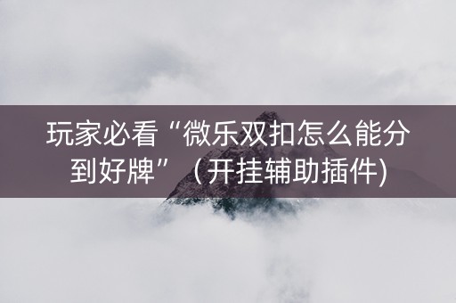 玩家必看“微乐双扣怎么能分到好牌”（开挂辅助插件)