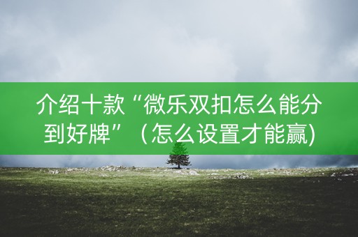 介绍十款“微乐双扣怎么能分到好牌”（怎么设置才能赢)