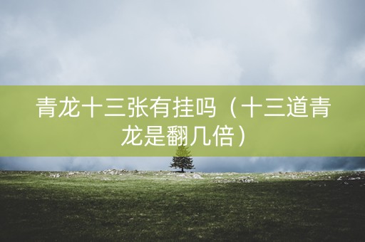 青龙十三张有挂吗（十三道青龙是翻几倍）