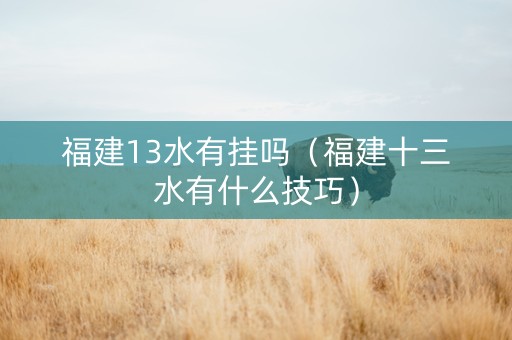 福建13水有挂吗（福建十三水有什么技巧）