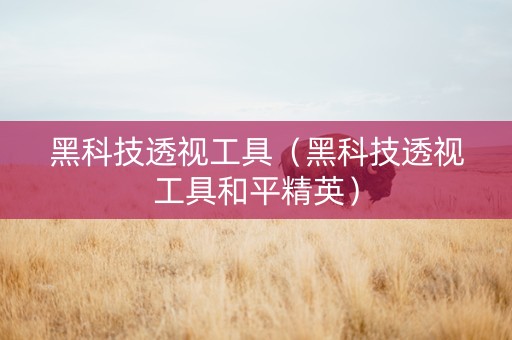 黑科技透视工具（黑科技透视工具和平精英）
