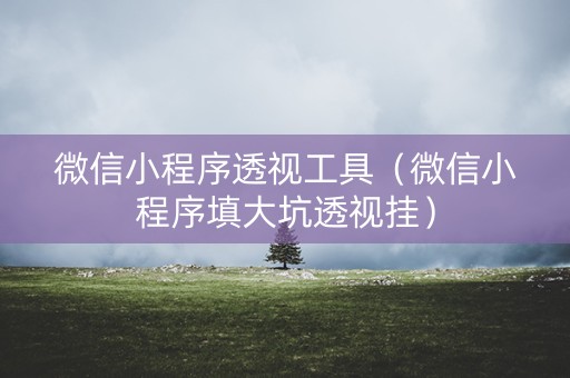微信小程序透视工具（微信小程序填大坑透视挂）