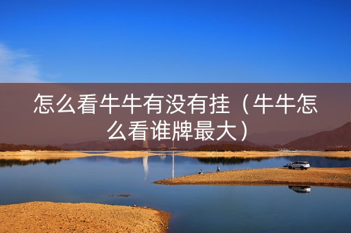 怎么看牛牛有没有挂（牛牛怎么看谁牌最大）