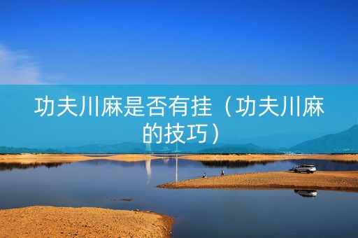 功夫川麻是否有挂（功夫川麻的技巧）