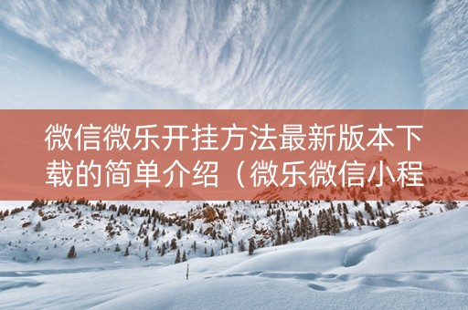 微信微乐开挂方法最新版本下载的简单介绍（微乐微信小程序开挂方法）
