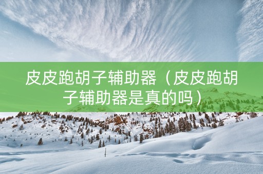 皮皮跑胡子辅助器（皮皮跑胡子辅助器是真的吗）