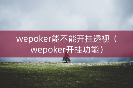 wepoker能不能开挂透视（wepoker开挂功能）