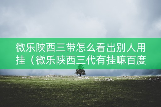 微乐陕西三带怎么看出别人用挂（微乐陕西三代有挂嘛百度知道）