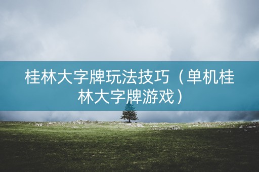 桂林大字牌玩法技巧（单机桂林大字牌游戏）