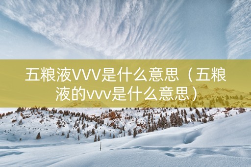 五粮液VVV是什么意思（五粮液的vvv是什么意思）