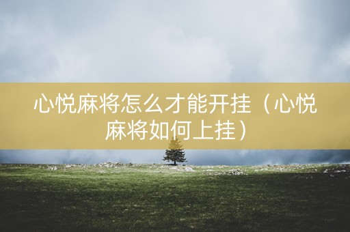 心悦麻将怎么才能开挂（心悦麻将如何上挂）