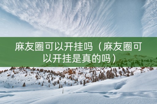 麻友圈可以开挂吗（麻友圈可以开挂是真的吗）