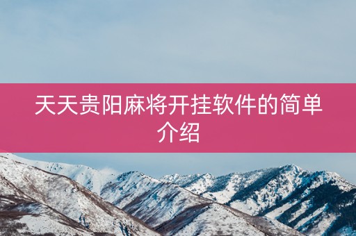 天天贵阳麻将开挂软件的简单介绍