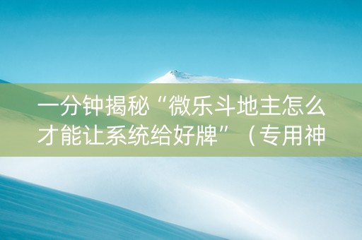 一分钟揭秘“微乐斗地主怎么才能让系统给好牌”（专用神器)