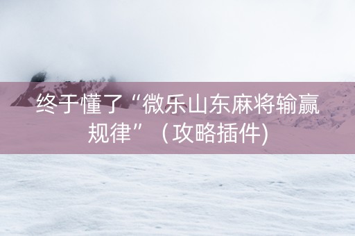 终于懂了“微乐山东麻将输赢规律”（攻略插件)