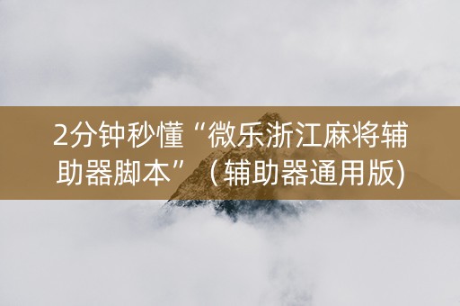 2分钟秒懂“微乐浙江麻将辅助器脚本”（辅助器通用版)