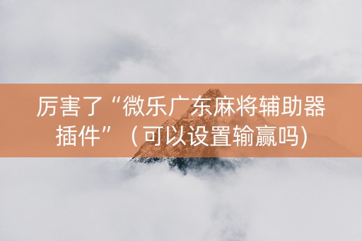 厉害了“微乐广东麻将辅助器插件”（可以设置输赢吗)