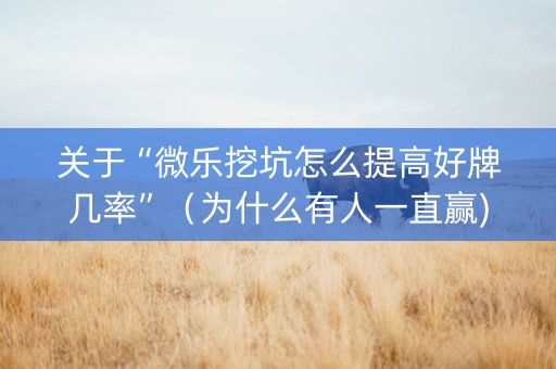 关于“微乐挖坑怎么提高好牌几率”（为什么有人一直赢)