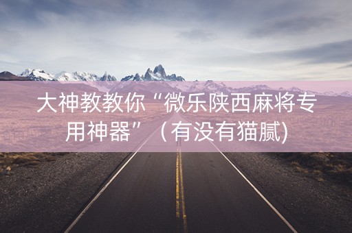 大神教教你“微乐陕西麻将专用神器”（有没有猫腻)